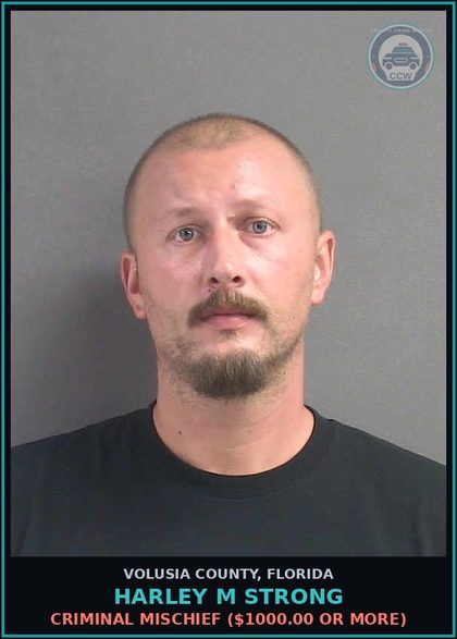 CCW arrest card for HARLEY M STRONG in Volusia County: CRIMINAL MISCHIEF ($1000.00 OR MORE)