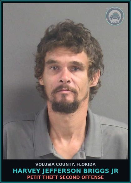 CCW arrest card for HARVEY JEFFERSON BRIGGS JR in Volusia County: PETIT THEFT SECOND OFFENSE