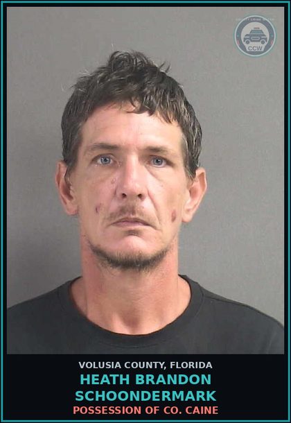CCW arrest card for HEATH BRANDON SCHOONDERMARK in Volusia County: FLEEING OR ATTEMPTING TO ELUDE