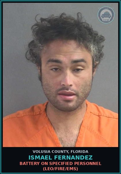 CCW arrest card for ISMAEL FERNANDEZ in Volusia County: BATTERY ON SPECIFIED PERSONNEL (LEO/FIRE/EMS)