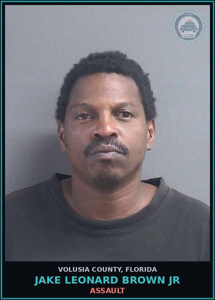 CCW arrest card for JAKE LEONARD BROWN JR in Volusia County: ASSAULT