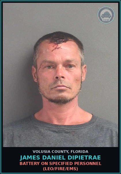 CCW arrest card for JAMES DANIEL DIPIETRAE in Volusia County: BATTERY ON SPECIFIED PERSONNEL (LEO/FIRE/EMS)
