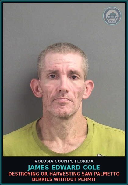 CCW arrest card for JAMES EDWARD COLE in Volusia County: DESTROYING OR HARVESTING SAW PALMETTO BERRIES WITHOUT PERMIT