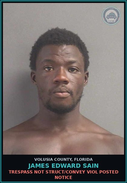 CCW arrest card for JAMES EDWARD SAIN in Volusia County: POSSESS LESS THAN 20 GRAMS CANNA