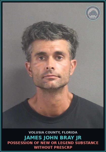 CCW arrest card for JAMES JOHN BRAY JR in Volusia County: LARCENY (PETIT THEFT)