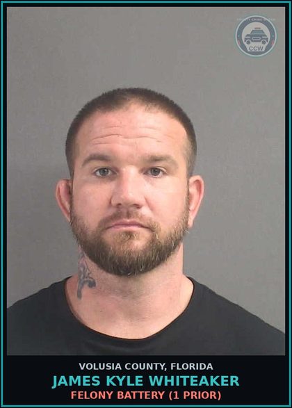 CCW arrest card for JAMES KYLE WHITEAKER in Volusia County: FELONY BATTERY (1 PRIOR)