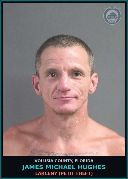 CCW arrest card for JAMES MICHAEL HUGHES in Volusia County: LARCENY (PETIT THEFT)