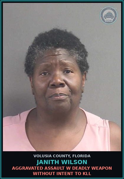 CCW arrest card for JANITH WILSON in Volusia County: TOUCH OR STRIKE