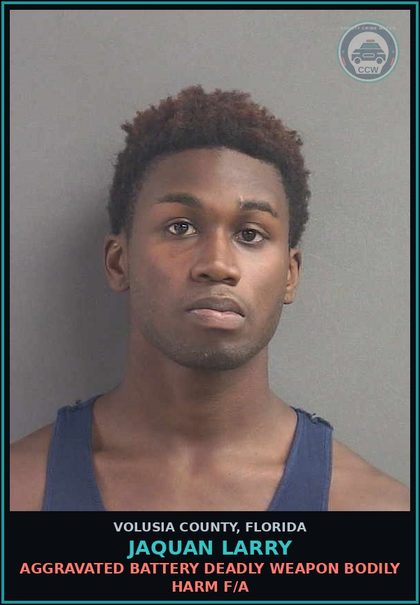CCW arrest card for JAQUAN LARRY in Volusia County: AGGRAVATED BATTERY DEADLY WEAPON BODILY HARM F/A