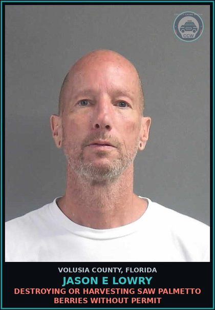 CCW arrest card for JASON E LOWRY in Volusia County: DESTROYING OR HARVESTING SAW PALMETTO BERRIES WITHOUT PERMIT