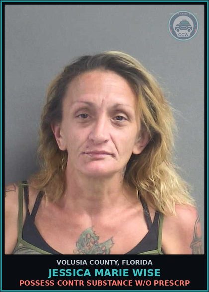 CCW arrest card for JESSICA MARIE WISE in Volusia County: POSSESS CONTR SUBSTANCE W/O PRESCRP