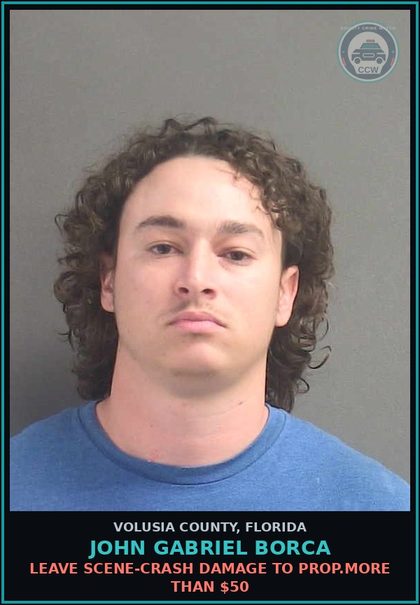 CCW arrest card for JOHN GABRIEL BORCA in Volusia County: LEAVE SCENE-CRASH DAMAGE TO PROP.MORE THAN $50