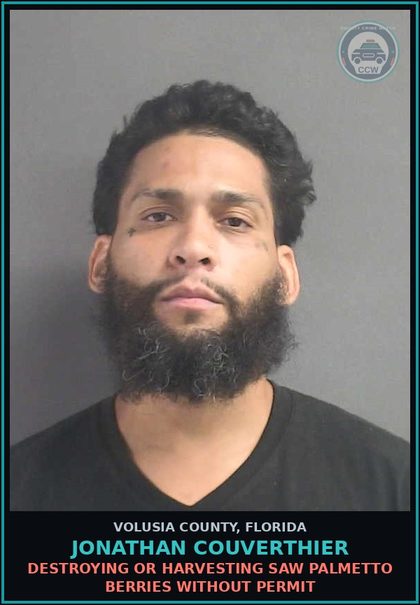 CCW arrest card for JONATHAN COUVERTHIER in Volusia County: DESTROYING OR HARVESTING SAW PALMETTO BERRIES WITHOUT PERMIT