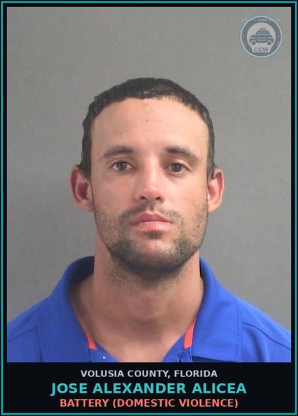 CCW arrest card for JOSE ALEXANDER ALICEA in Volusia County: BATTERY (DOMESTIC VIOLENCE)