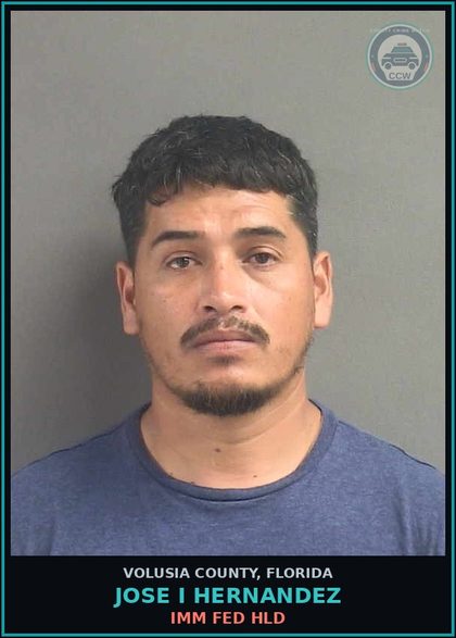CCW arrest card for JOSE I HERNANDEZ in Volusia County: IMM FED HLD