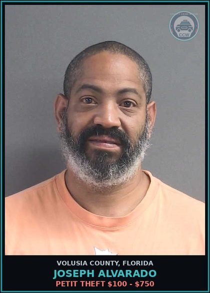 CCW arrest card for JOSEPH ALVARADO in Volusia County: PETIT THEFT $100 - $750