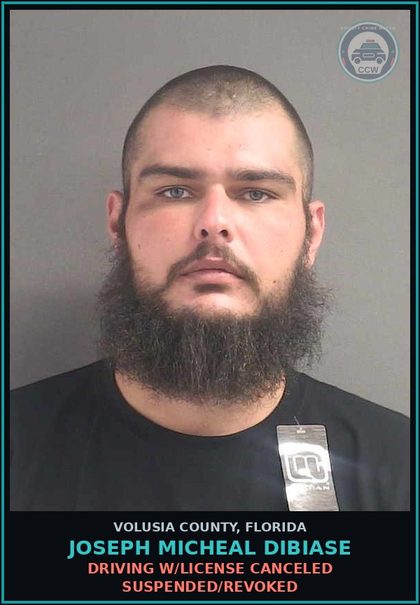 CCW arrest card for JOSEPH MICHEAL DIBIASE in Volusia County: DRIVING W/LICENSE CANCELED SUSPENDED/REVOKED