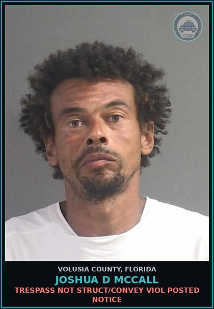 CCW arrest card for JOSHUA D MCCALL in Volusia County: TRESPASS NOT STRUCT/CONVEY VIOL POSTED NOTICE