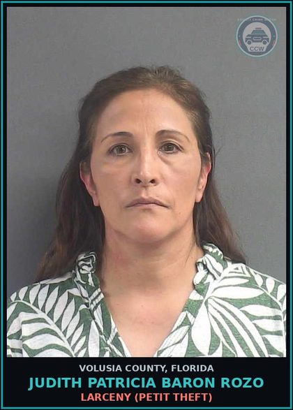 CCW arrest card for JUDITH PATRICIA BARON ROZO in Volusia County: LARCENY (PETIT THEFT)