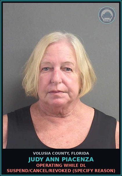 CCW arrest card for JUDY ANN PIACENZA in Volusia County: OPERATING WHILE DL SUSPEND/CANCEL/REVOKED (SPECIFY REASON)