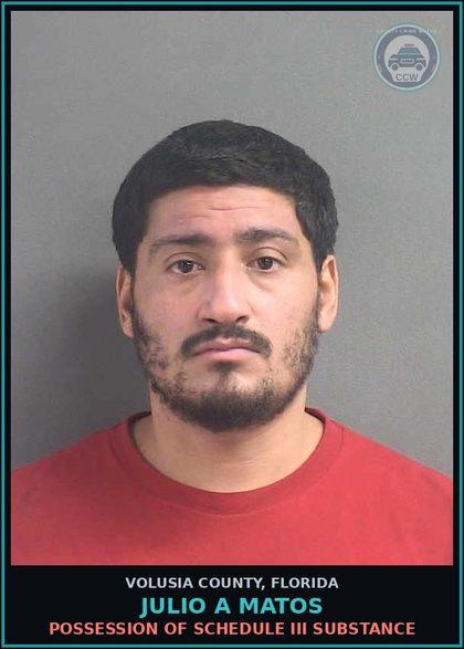 CCW arrest card for JULIO A MATOS in Volusia County: RESISTING AN OFFICER WITHOUT VIOLENCE
