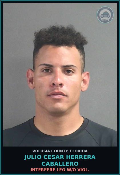 CCW arrest card for JULIO CESAR HERRERA CABALLERO in Volusia County: INTERFERE LEO W/O VIOL.
