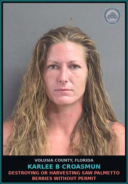CCW arrest card for KARLEE B CROASMUN in Volusia County: DESTROYING OR HARVESTING SAW PALMETTO BERRIES WITHOUT PERMIT