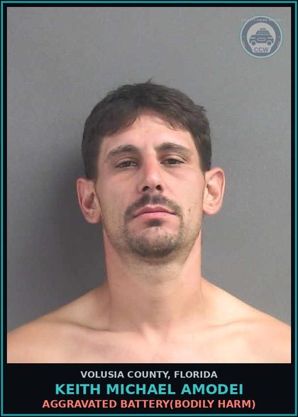 CCW arrest card for KEITH MICHAEL AMODEI in Volusia County: AGGRAVATED BATTERY(BODILY HARM)