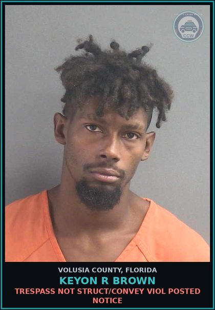 CCW arrest card for KEYON R BROWN in Volusia County: TRESPASS NOT STRUCT/CONVEY VIOL POSTED NOTICE