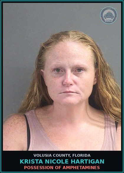 CCW arrest card for KRISTA NICOLE HARTIGAN in Volusia County: POSSESSION OF AMPHETAMINES