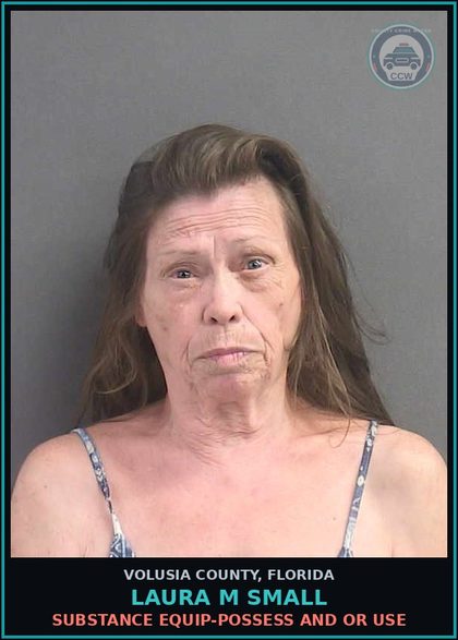 CCW arrest card for LAURA M SMALL in Volusia County: SUBSTANCE EQUIP-POSSESS AND OR USE