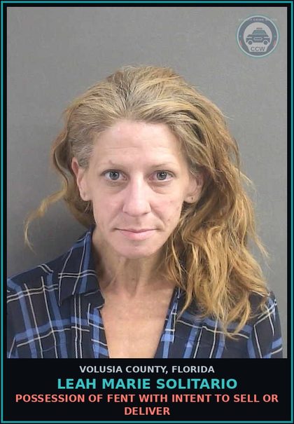 CCW arrest card for LEAH MARIE SOLITARIO in Volusia County: LARCENY (PETIT THEFT)