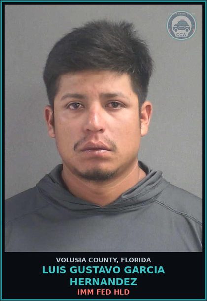 CCW arrest card for LUIS GUSTAVO GARCIA HERNANDEZ in Volusia County: IMM FED HLD