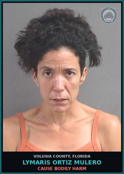 CCW arrest card for LYMARIS ORTIZ MULERO in Volusia County: CAUSE BODILY HARM