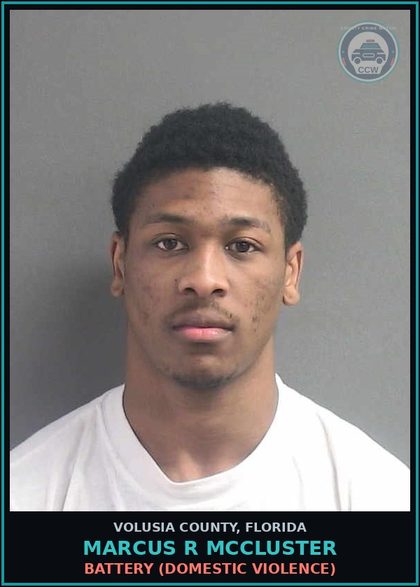 CCW arrest card for MARCUS R MCCLUSTER in Volusia County: CRIMINAL MISCHIEF