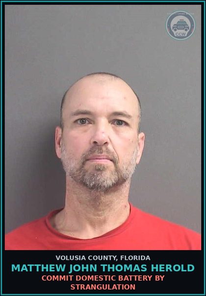 CCW arrest card for MATTHEW JOHN THOMAS HEROLD in Volusia County: COMMIT DOMESTIC BATTERY BY STRANGULATION