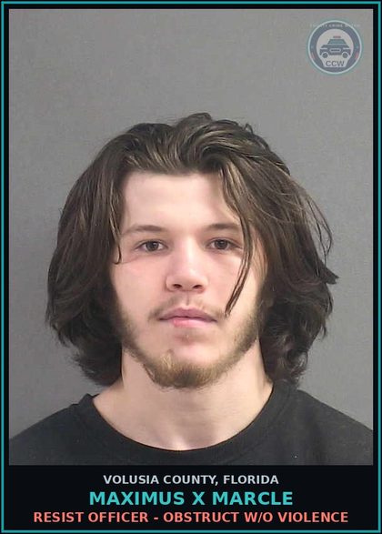 CCW arrest card for MAXIMUS X MARCLE in Volusia County: DESTROYING OR HARVESTING SAW PALMETTO BERRIES WITHOUT PERMIT