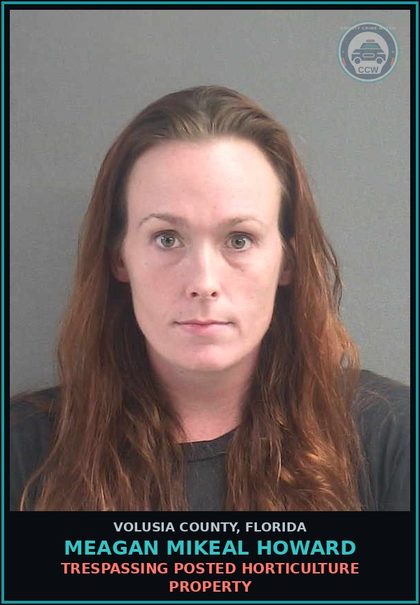 CCW arrest card for MEAGAN MIKEAL HOWARD in Volusia County: TRESPASSING POSTED HORTICULTURE PROPERTY