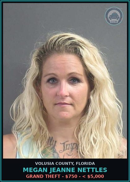 CCW arrest card for MEGAN JEANNE NETTLES in Volusia County: GRAND THEFT - $750 - < $5,000