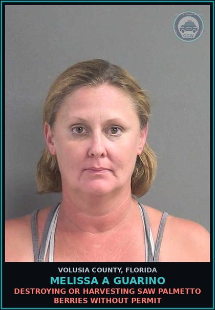 CCW arrest card for MELISSA A GUARINO in Volusia County: DESTROYING OR HARVESTING SAW PALMETTO BERRIES WITHOUT PERMIT