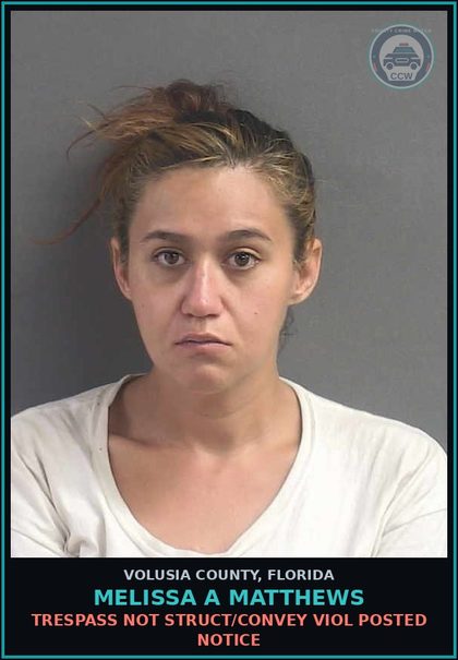 CCW arrest card for MELISSA A MATTHEWS in Volusia County: TRESPASS NOT STRUCT/CONVEY VIOL POSTED NOTICE
