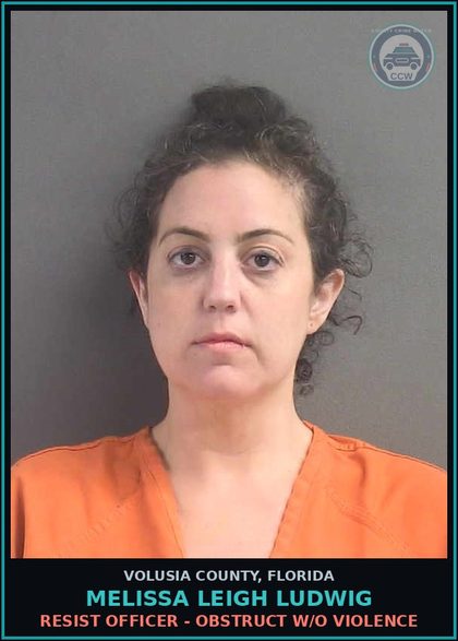 CCW arrest card for MELISSA LEIGH LUDWIG in Volusia County: RESIST OFFICER - OBSTRUCT W/O VIOLENCE