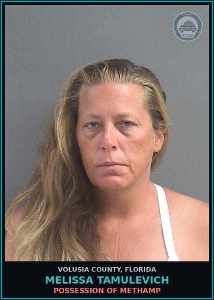 CCW arrest card for MELISSA TAMULEVICH in Volusia County: POSSESSION OF METHAMP