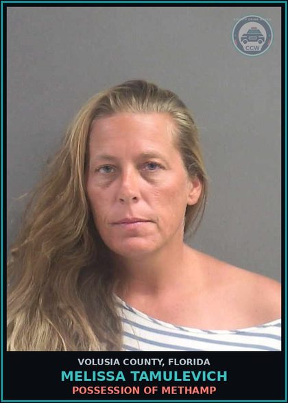 CCW arrest card for MELISSA TAMULEVICH in Volusia County: POSSESSION OF METHAMP