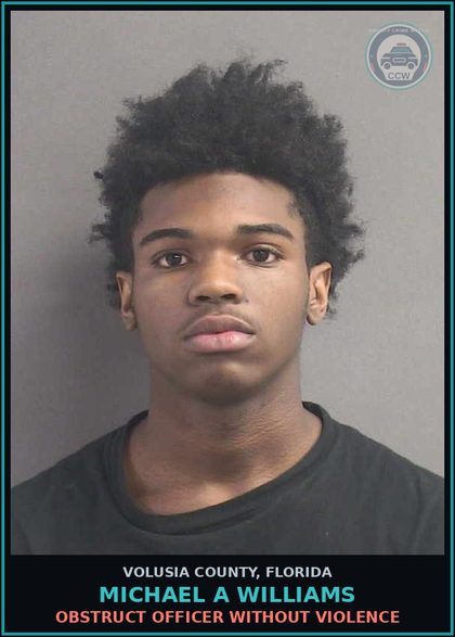 CCW arrest card for MICHAEL A WILLIAMS in Volusia County: OBSTRUCT OFFICER WITHOUT VIOLENCE