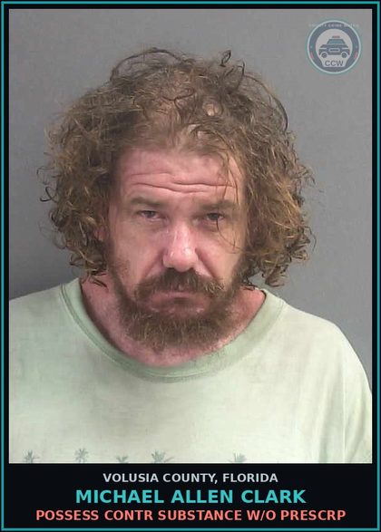 CCW arrest card for MICHAEL ALLEN CLARK in Volusia County: POSSESS CONTR SUBSTANCE W/O PRESCRP