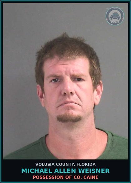 CCW arrest card for MICHAEL ALLEN WEISNER in Volusia County: POSSESSION OF CO. CAINE