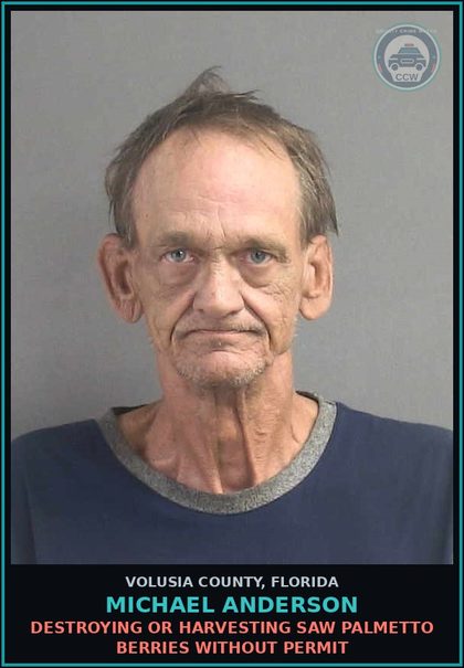 CCW arrest card for MICHAEL ANDERSON in Volusia County: DESTROYING OR HARVESTING SAW PALMETTO BERRIES WITHOUT PERMIT