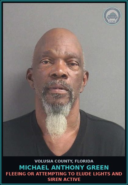 CCW arrest card for MICHAEL ANTHONY GREEN in Volusia County: FLEEING OR ATTEMPTING TO ELUDE LIGHTS AND SIREN ACTIVE