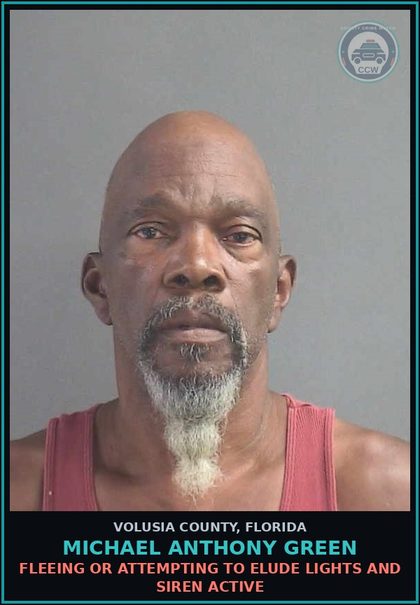 CCW arrest card for MICHAEL ANTHONY GREEN in Volusia County: FLEEING OR ATTEMPTING TO ELUDE LIGHTS AND SIREN ACTIVE
